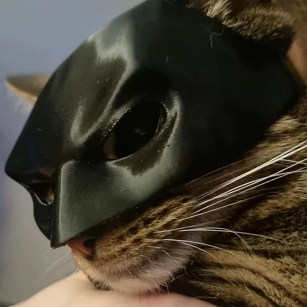 TONG New 5 Sizes Cat Bat Cool Man Mask Cat Avenger Mask Cute Bat Mask Pet Superhero Hat Cat Bat Cool Man Mask for Cat and Dogs