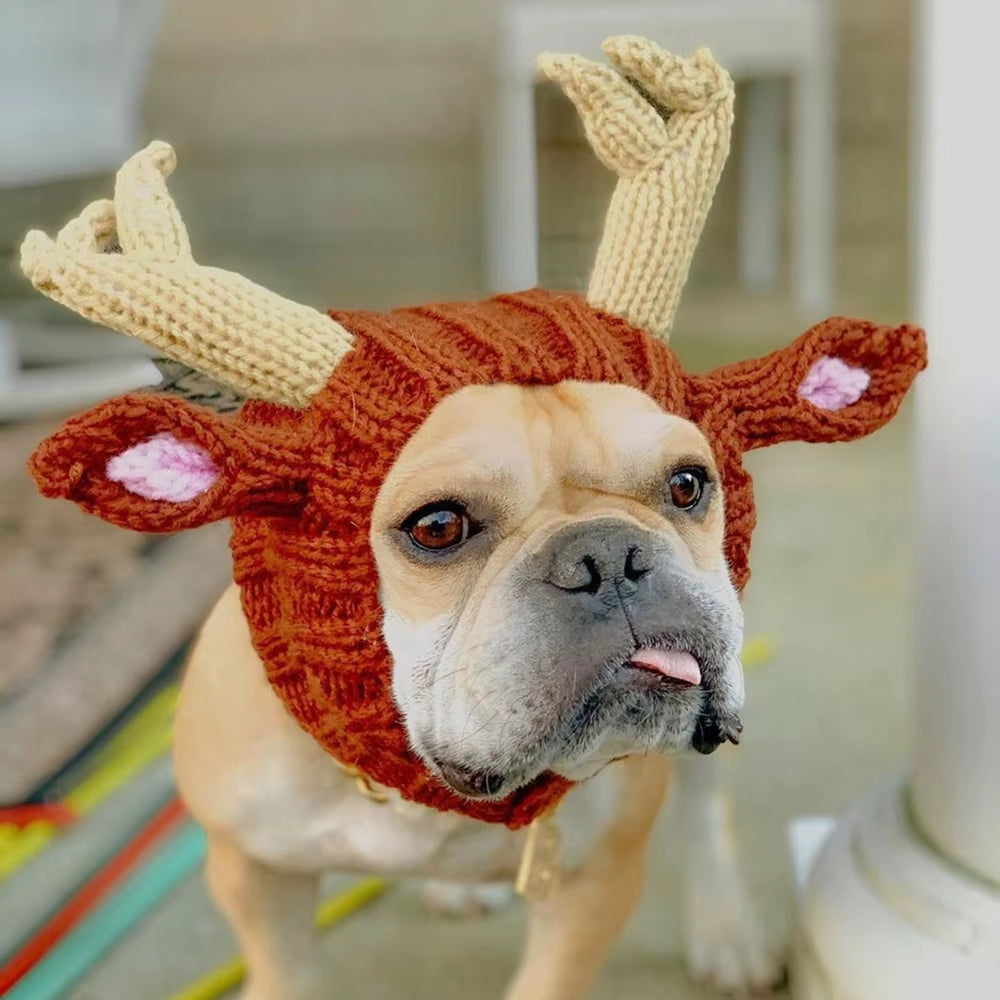 Knitted Hat Winter Warm Puppy Cap Fashion Rabbit Ear Design Beanie for Cute Pet Dog Cat Puppy Animal Christmas Hat Knitted Hats